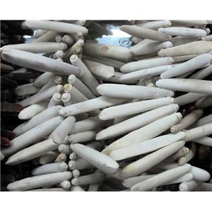 sea urchin bead, protein, freeform, approx 8-60mm