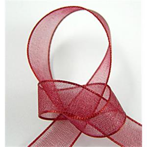 Organza Ribbon Cord, 25mm wide