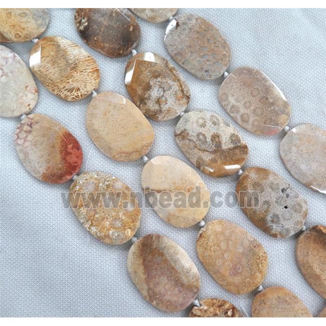 Coral Fossil slice Beads, faceted freeform, B-grade