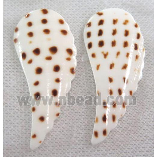 shell pendant without hole, feather