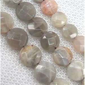 grey moonstone bead, faceted flat round, approx 10mm dia
