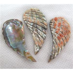 shell pendant without hole, angel wing, approx 25x55mm