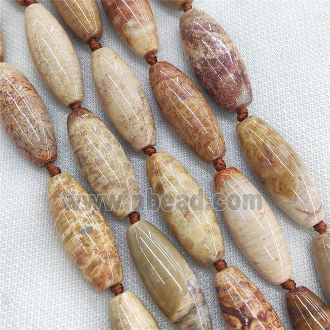 Natural Coral Fossil Rice Beads Orange