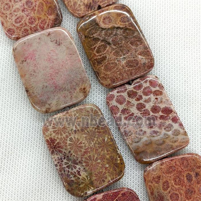 Natural Coral Fossil Beads Rectangle