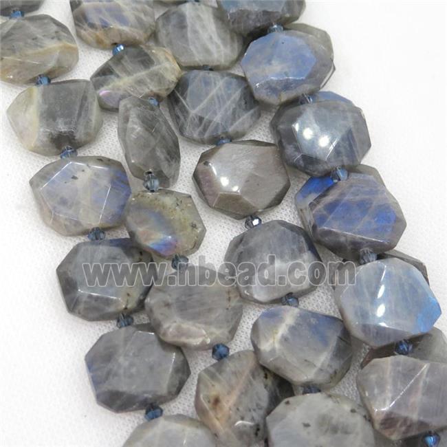 Labradorite Beads, faceted rectangle