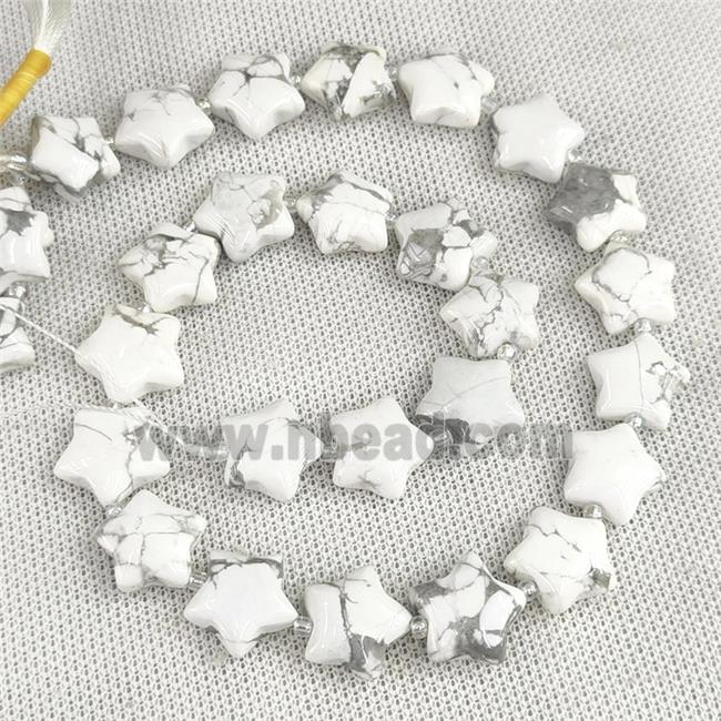 Natural White Howlite Turquoise Star Beads
