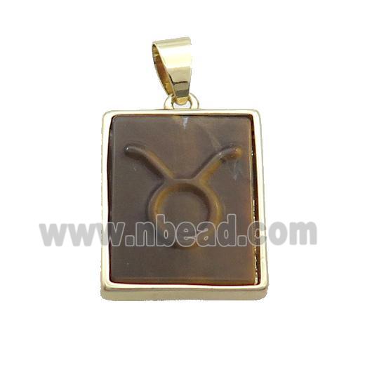 Natural Tiger Eye Stone Pendant Zodiac Leo Rectangle Gold Plated