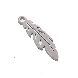 Raw Stainless Steel Feather Charms Pendant, approx 5-17mm