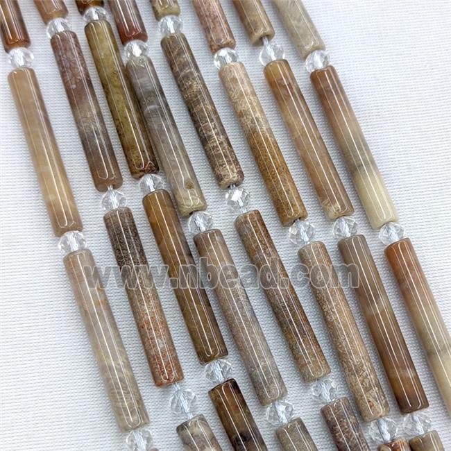 Natural Coral Fossil Column Beads Tube