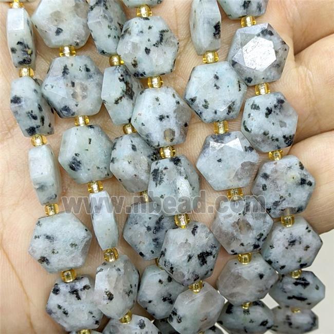Natural Kiwi Jasper Hexagon Beads Faceted