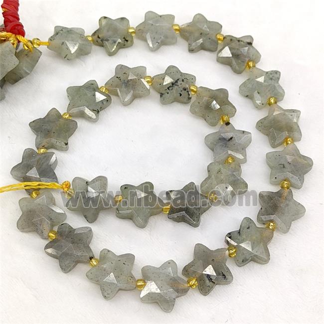 Natural Labradorite Star Beads Faceted