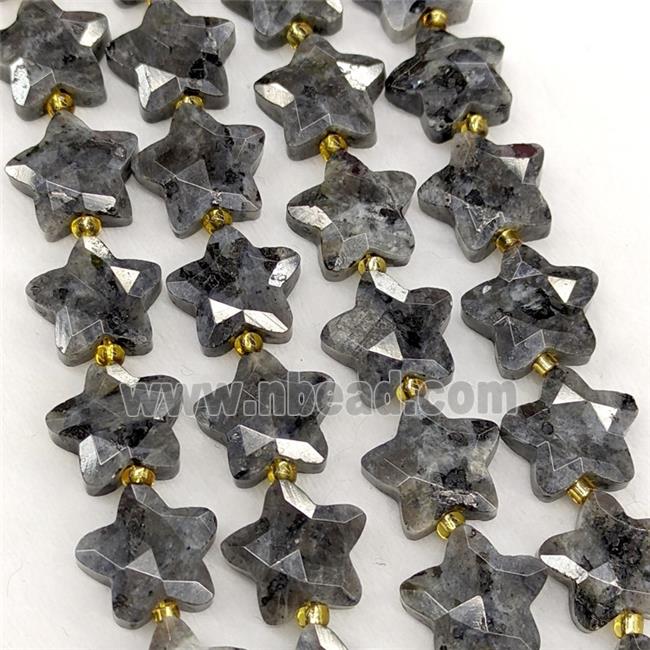Natural Black Labradorite Star Beads Faceted