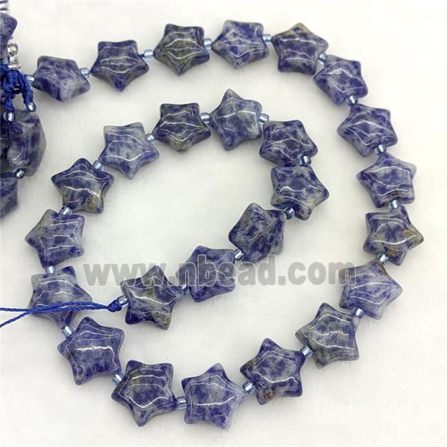 Natural Blue Dalmatian Jasper Star Beads
