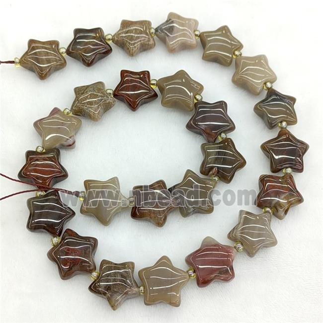 Natural Wood Petrified Jasper Star Beads