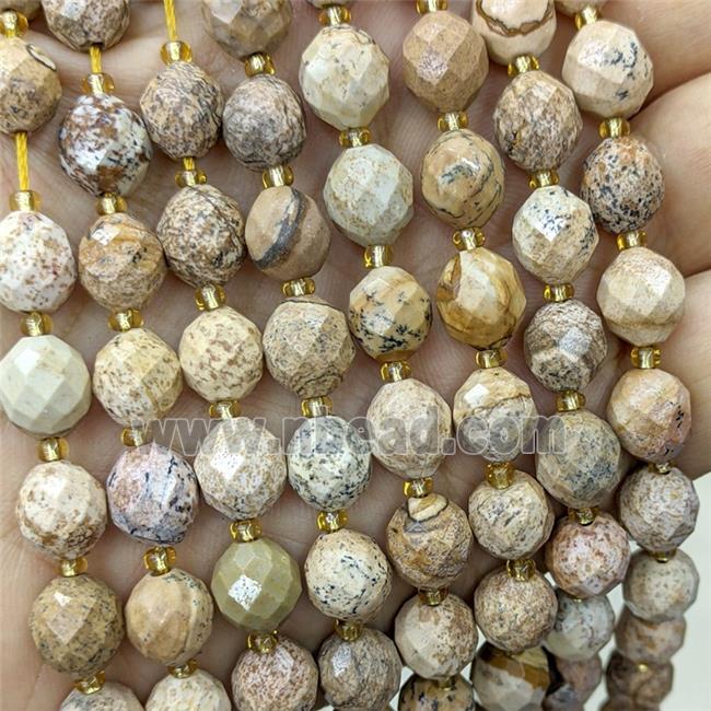 Natural Picture Jasper Beads Faceted Rice