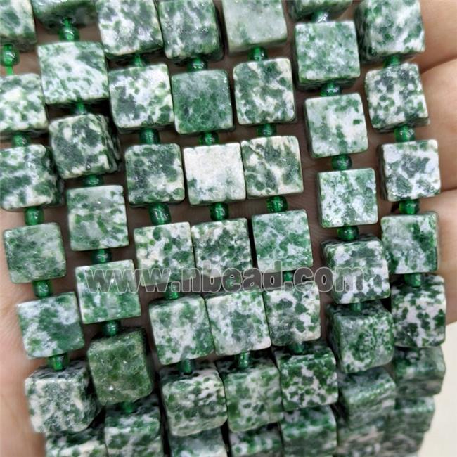 Green Dalmatian Jasper Cube Beads