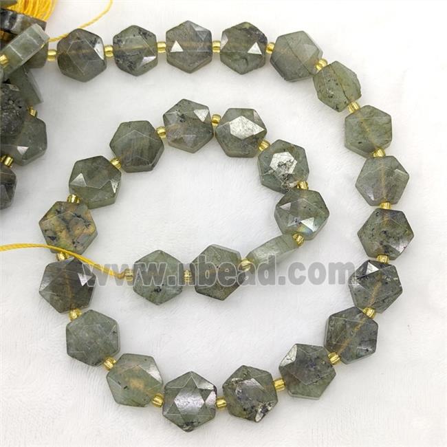Natural Labradorite Hexagon Beads