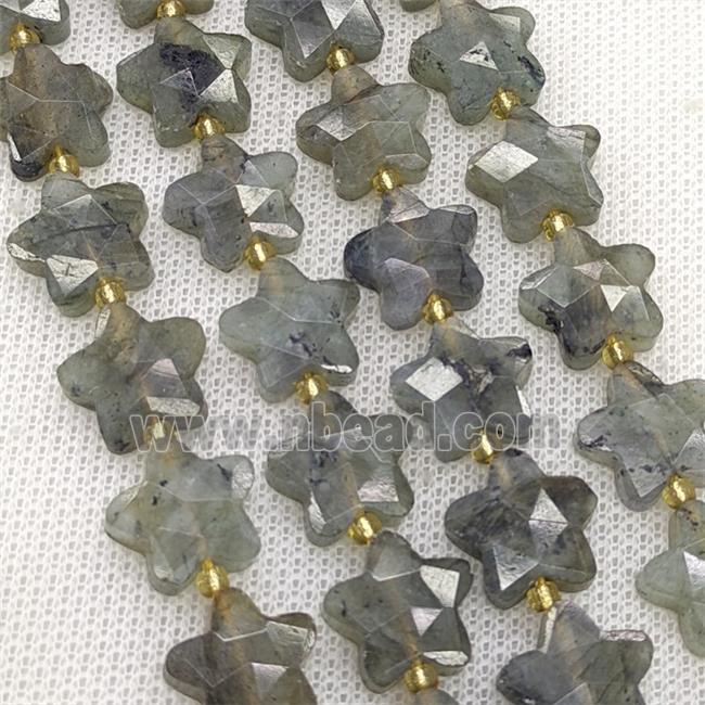 Natural Labradorite Star Beads Faceted
