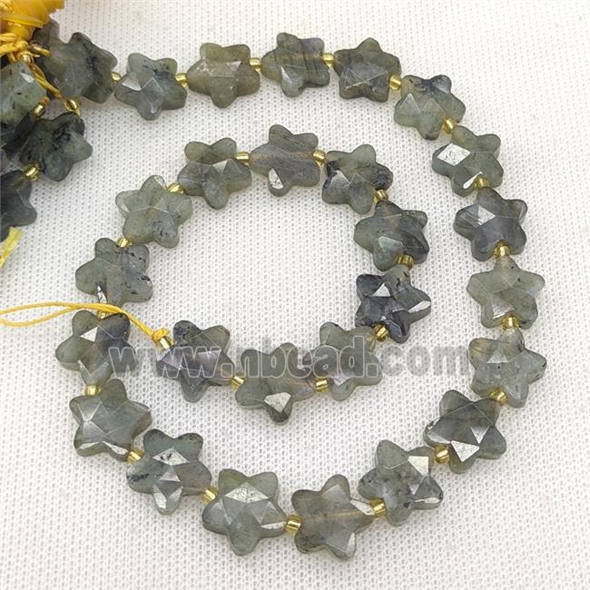 Natural Labradorite Star Beads Faceted
