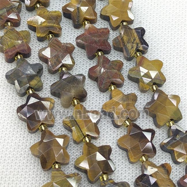 Natural Tiger Eye Stone Star Beads Faceted