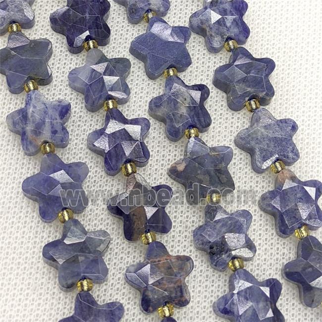 Natural Blue Sodalite Star Beads Faceted
