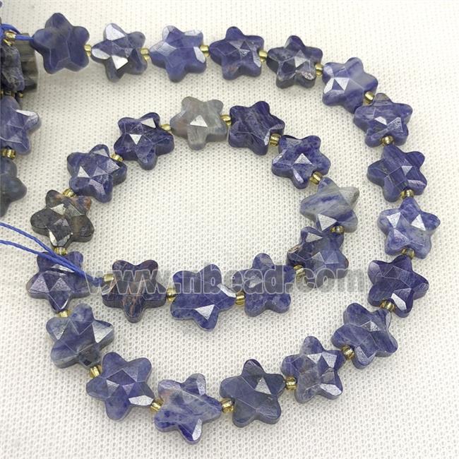 Natural Blue Sodalite Star Beads Faceted