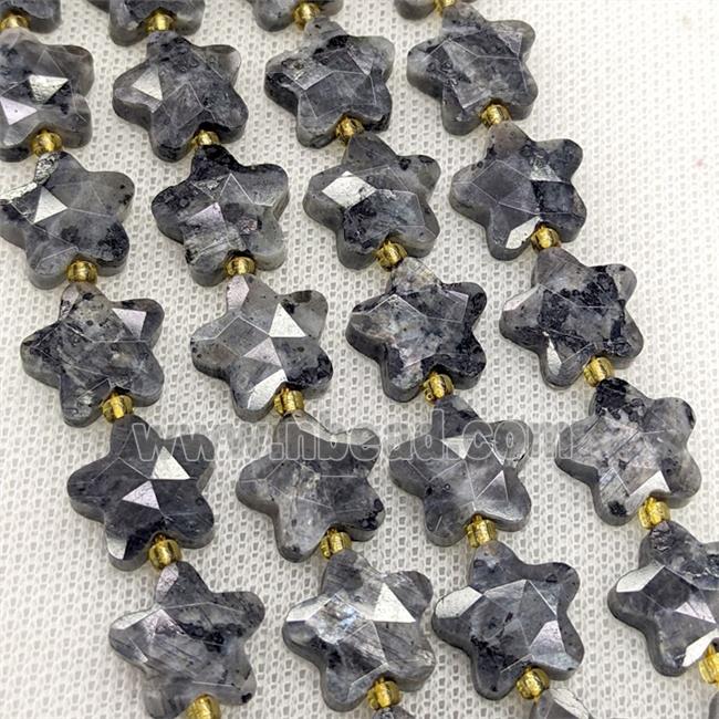 Natural Black Labradorite Star Beads Faceted