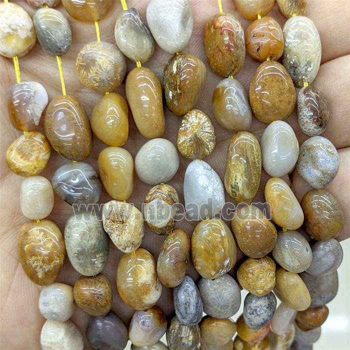 Natural Yellow Coral Fossil Chips Beads Freeform