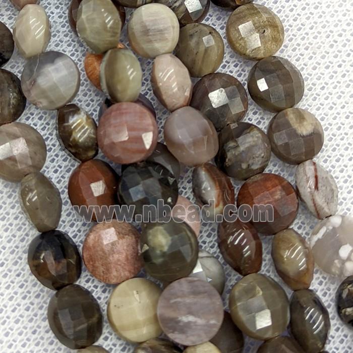 Natural Wood Petrified Jasper Beads Faceted Coin