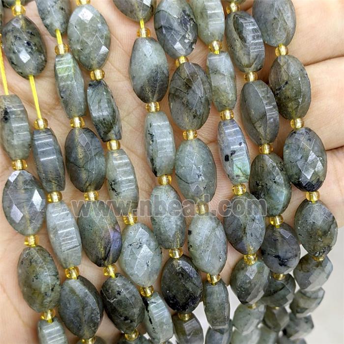 Natural Labradorite Beads Faceted Horse-Eye