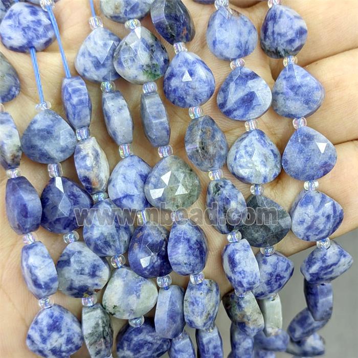 Blue Dalmatian Jasper Triangle Beads Faceted