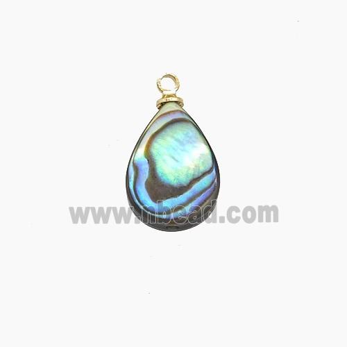 Abalone Shell Teardrop Pendant