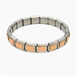 Raw Stainless Steel Module Bracelet With Sex Enamel, approx 9-10mm, 17cm length