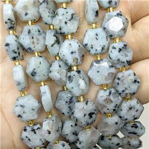 Natural Kiwi Jasper Hexagon Beads Faceted, approx 12mm