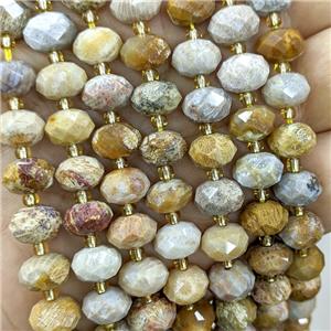 Natural Coral Fossil Beads Yellow Faceted Rondelle, approx 6-10mm