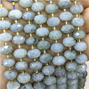 Natural Labradorite Beads Faceted Rondelle, approx 6-10mm