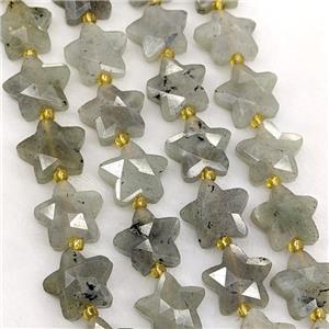 Natural Labradorite Star Beads Faceted, approx 14mm