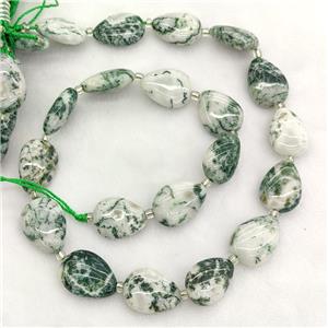 Natural Green Tree Agate Teardrop Beads, approx 13-18mm
