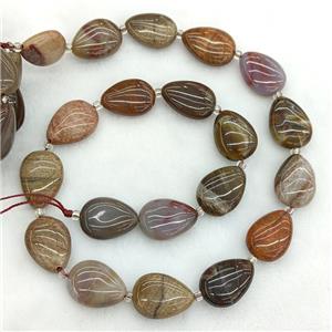 Natural Wood Petrified Jasper Teardrop Beads, approx 13-18mm