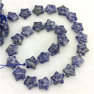 Natural Blue Dalmatian Jasper Star Beads, approx 15mm