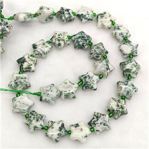 Natural Green Tree Agate Star Beads, approx 15mm