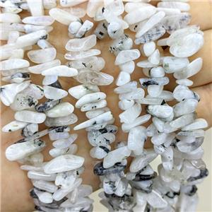 Natural White Moonstone Chips Beads Freeform Topdrilled, approx 5-16mm