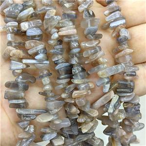 Natural Black Sunstone Chips Beads Freeform Topdrilled, approx 5-16mm