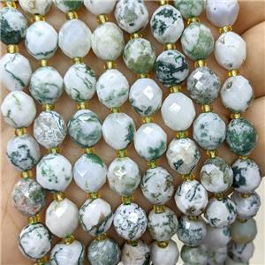 Natural Green Tree Agate Beads Faceted Rice, approx 8-10mm