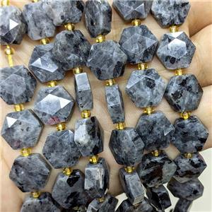 Natural Black Labradorite Hexagon Beads, approx 12mm