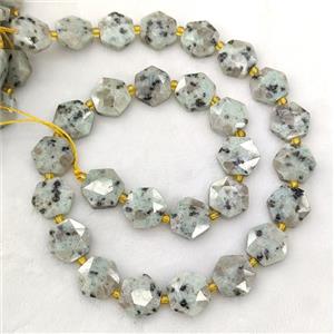 Natural Kiwi Jasper Hexagon Beads, approx 12-13mm