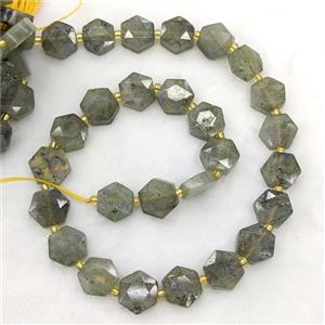Natural Labradorite Hexagon Beads, approx 12-13mm