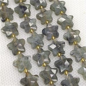 Natural Labradorite Star Beads Faceted, approx 14mm