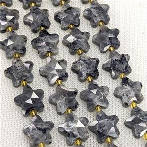 Natural Black Labradorite Star Beads Faceted, approx 14mm