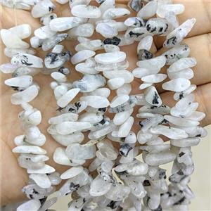 Natural White Moonstone Chips Beads Freeform Topdrilled, approx 5-16mm